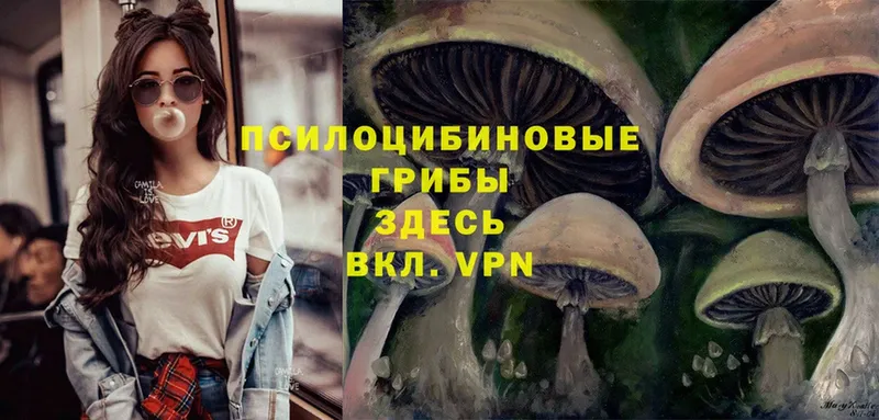 Псилоцибиновые грибы Magic Shrooms  hydra   Рыбное 